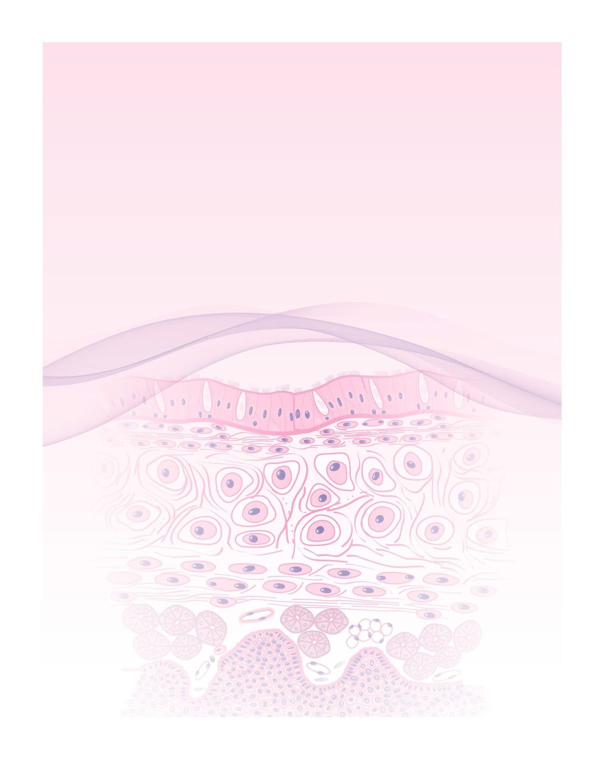 Practical Histology Workbook 3Ed (Pb 2025)