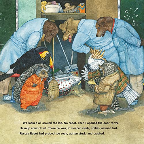 Hedgie Blasts Off! - Retail Maharaj