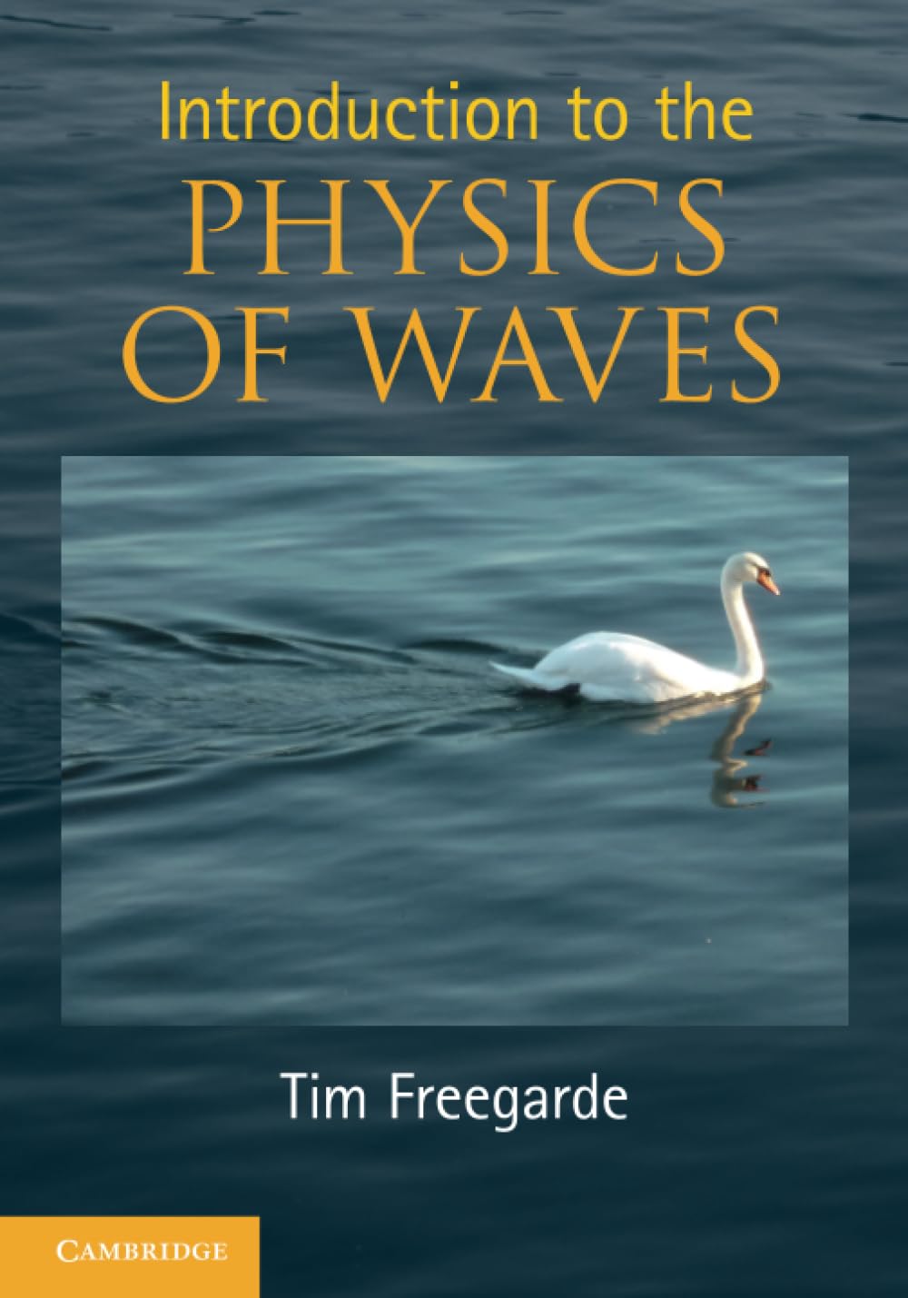 Introduction to the Physics of Waves