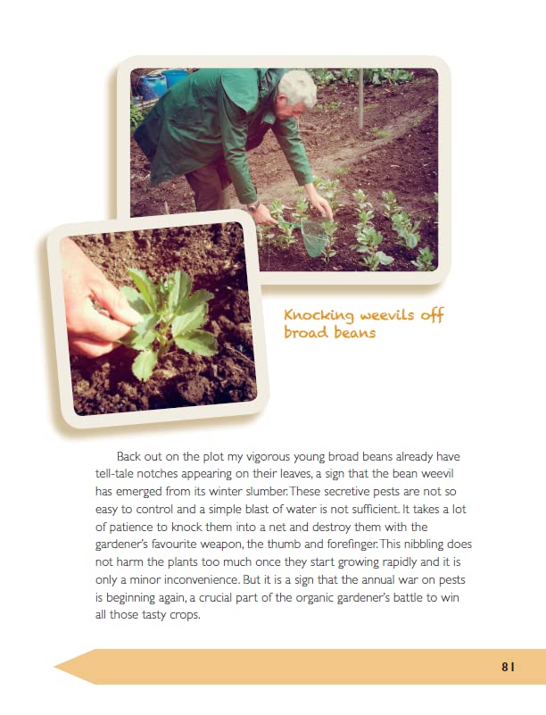 The Allotment Almanac: a month-by-month guide to getting the best from your allotment from much-loved Radio 2 gardener Terry Walton