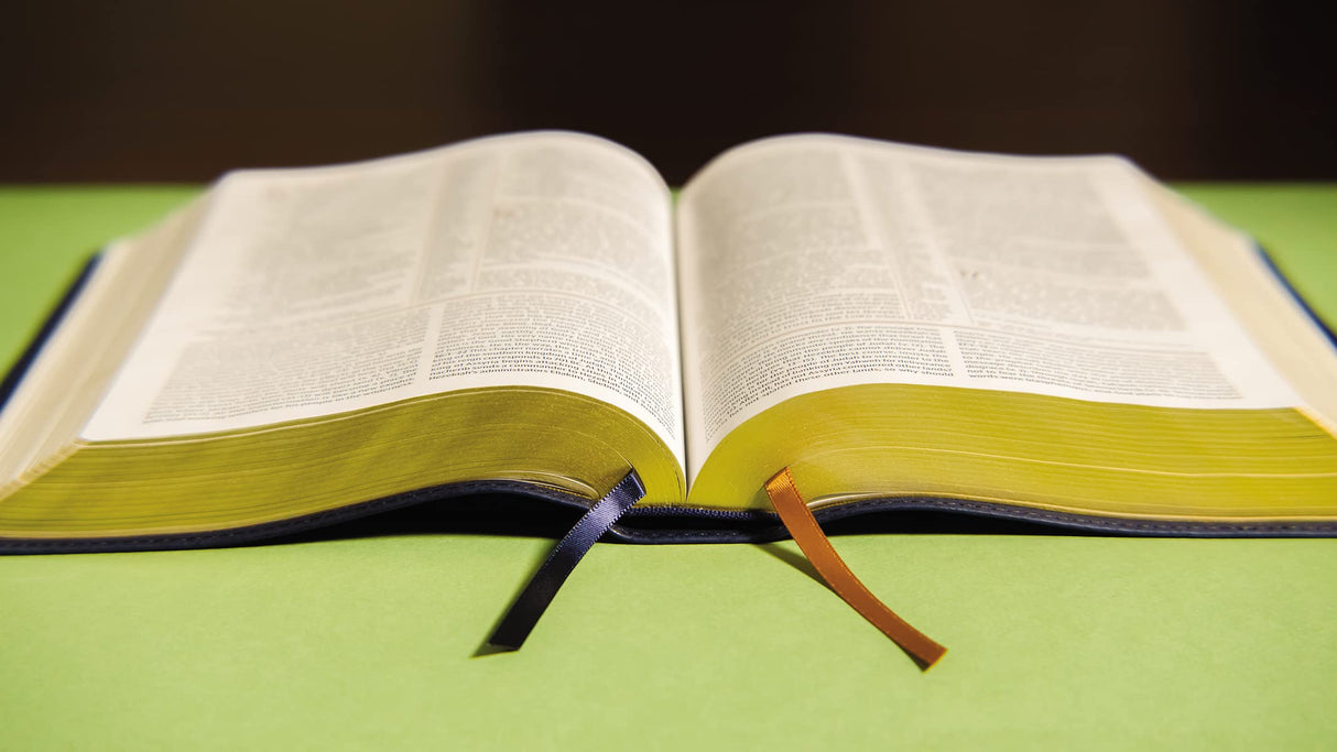 NIV, The Grace and Truth Study Bible, Leathersoft, Navy, Red Letter, Comfort Print - Retail Maharaj