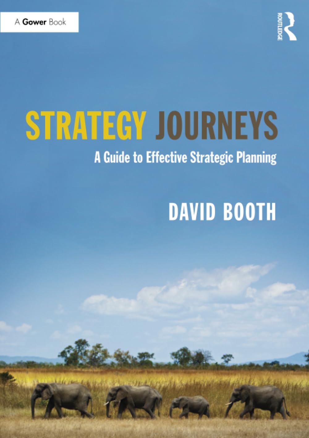 Strategy Journeys: A Guide to Effective Strategic Planning - Retail Maharaj