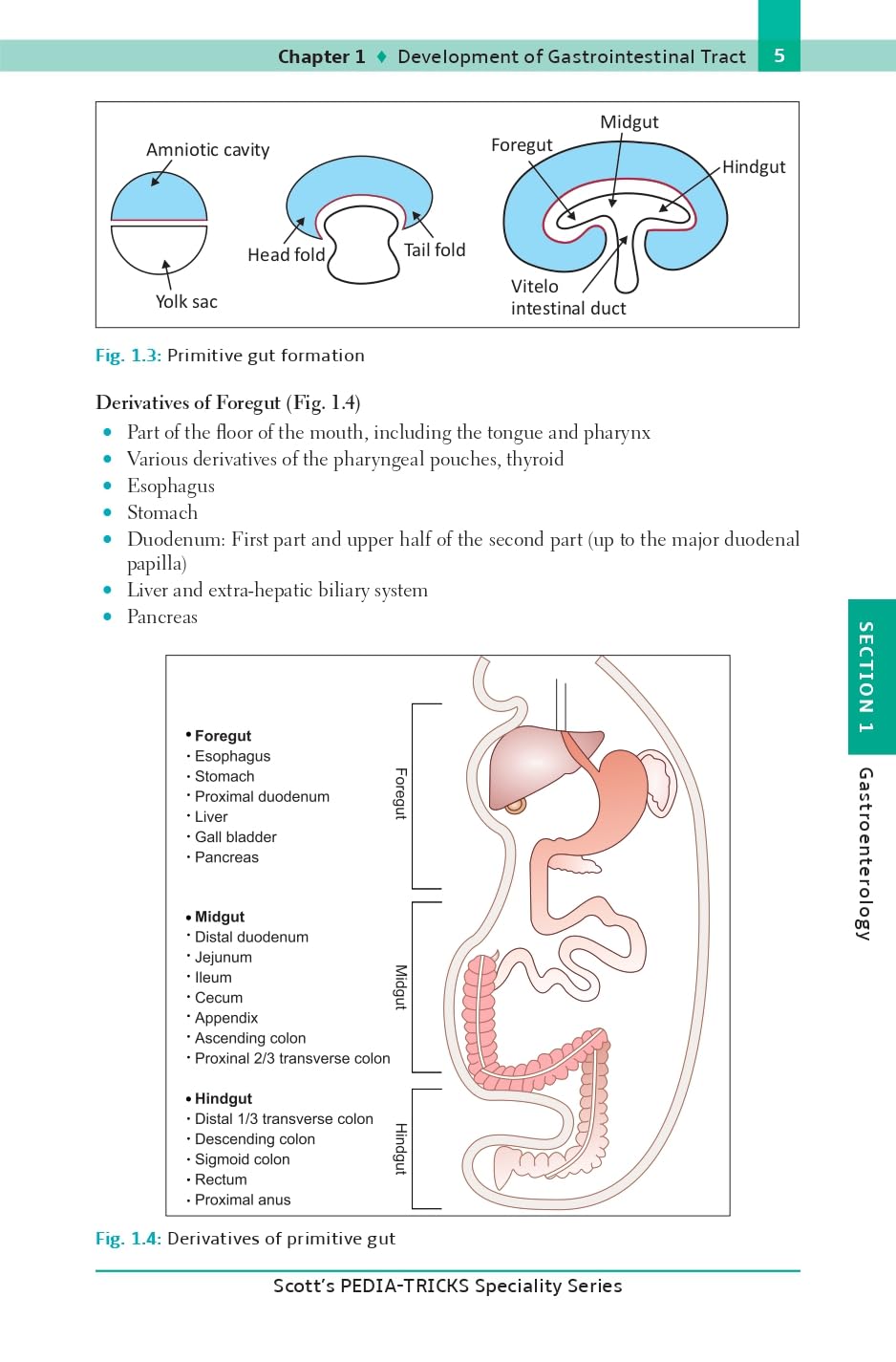 Scott's Pediatricks Specialty Series Concise Pediatric Gastroenterology and Hepatology