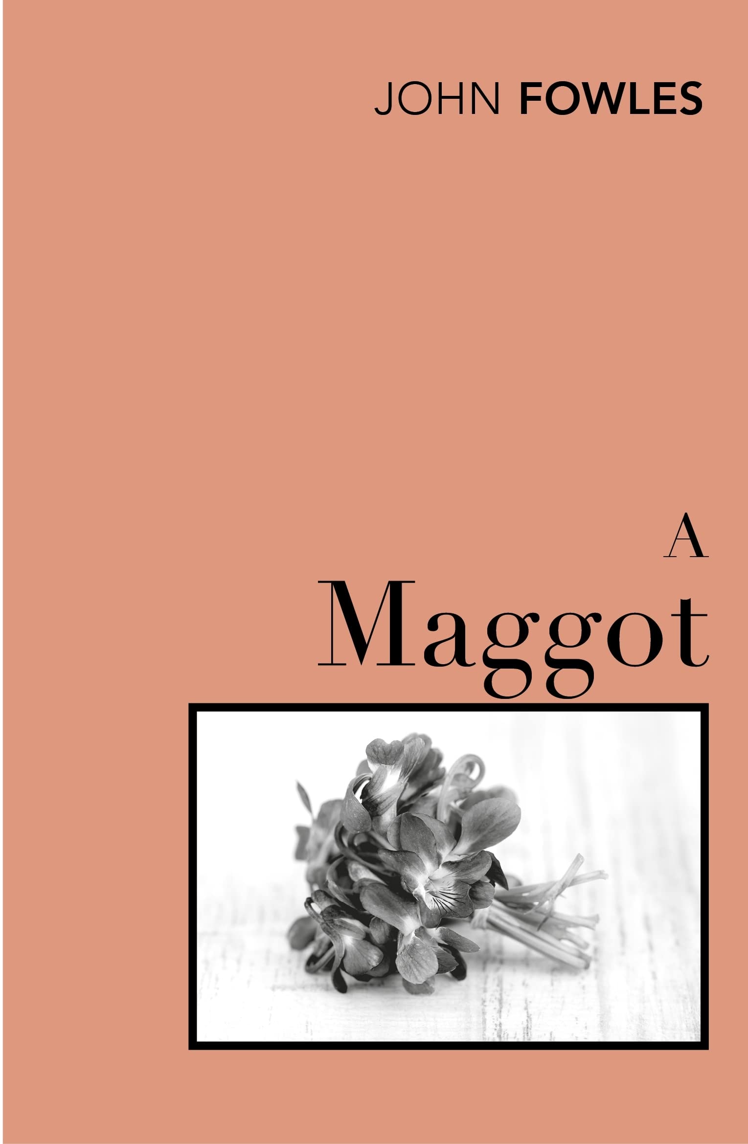 A Maggot - Retail Maharaj