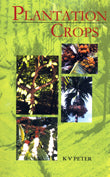 PLANTATION CROPS - Retail Maharaj