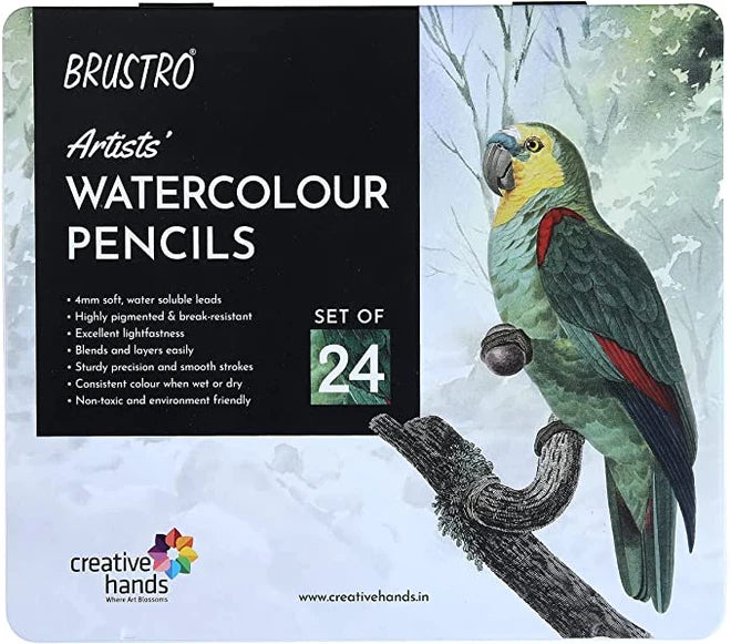 Brustro Watercolor Pencils Set of 24 for Drawing Sketching and Art Blending - Retail Maharaj