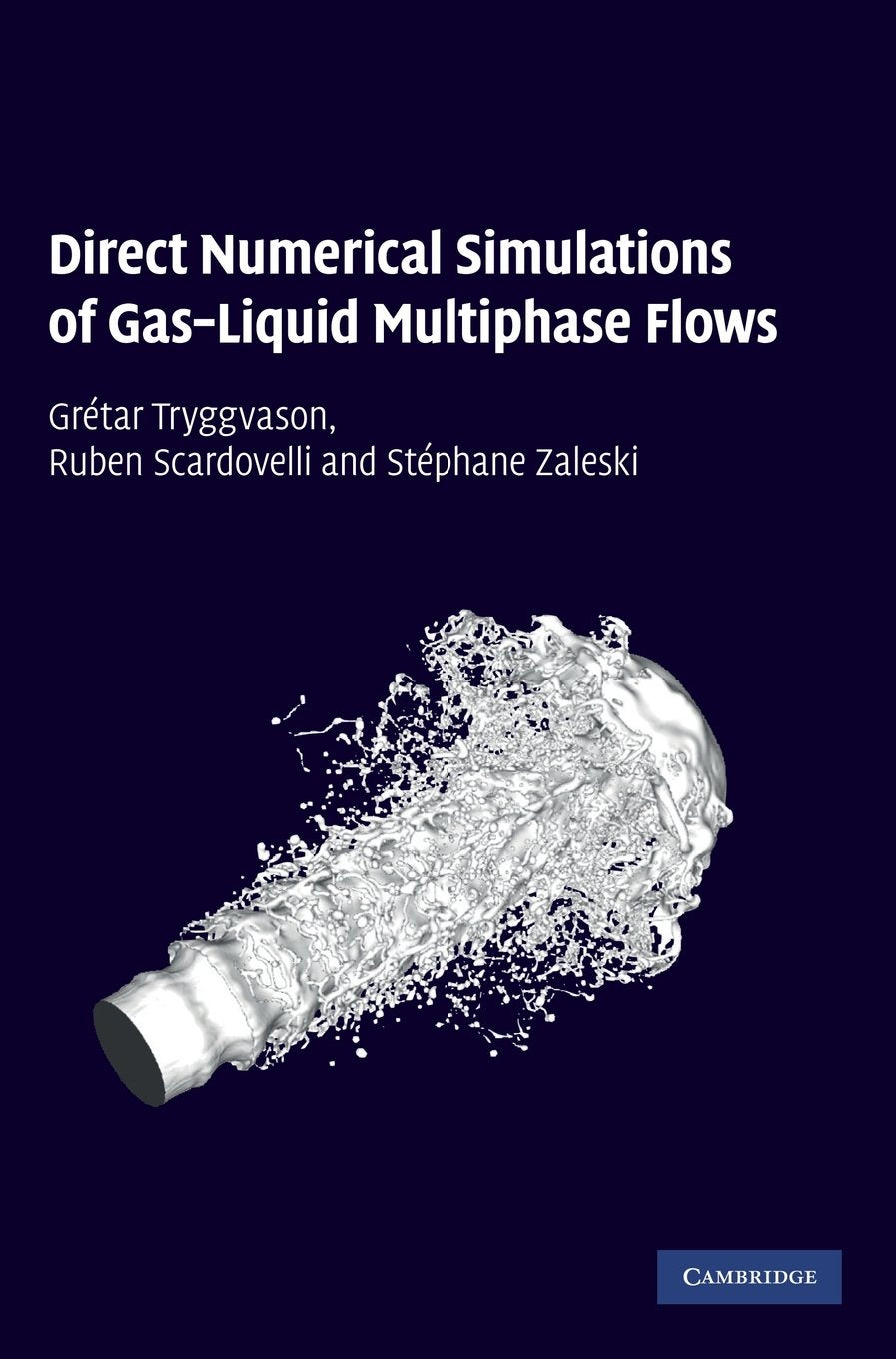 Direct Numerical Simulations of Gas?Liquid Multiphase Flows