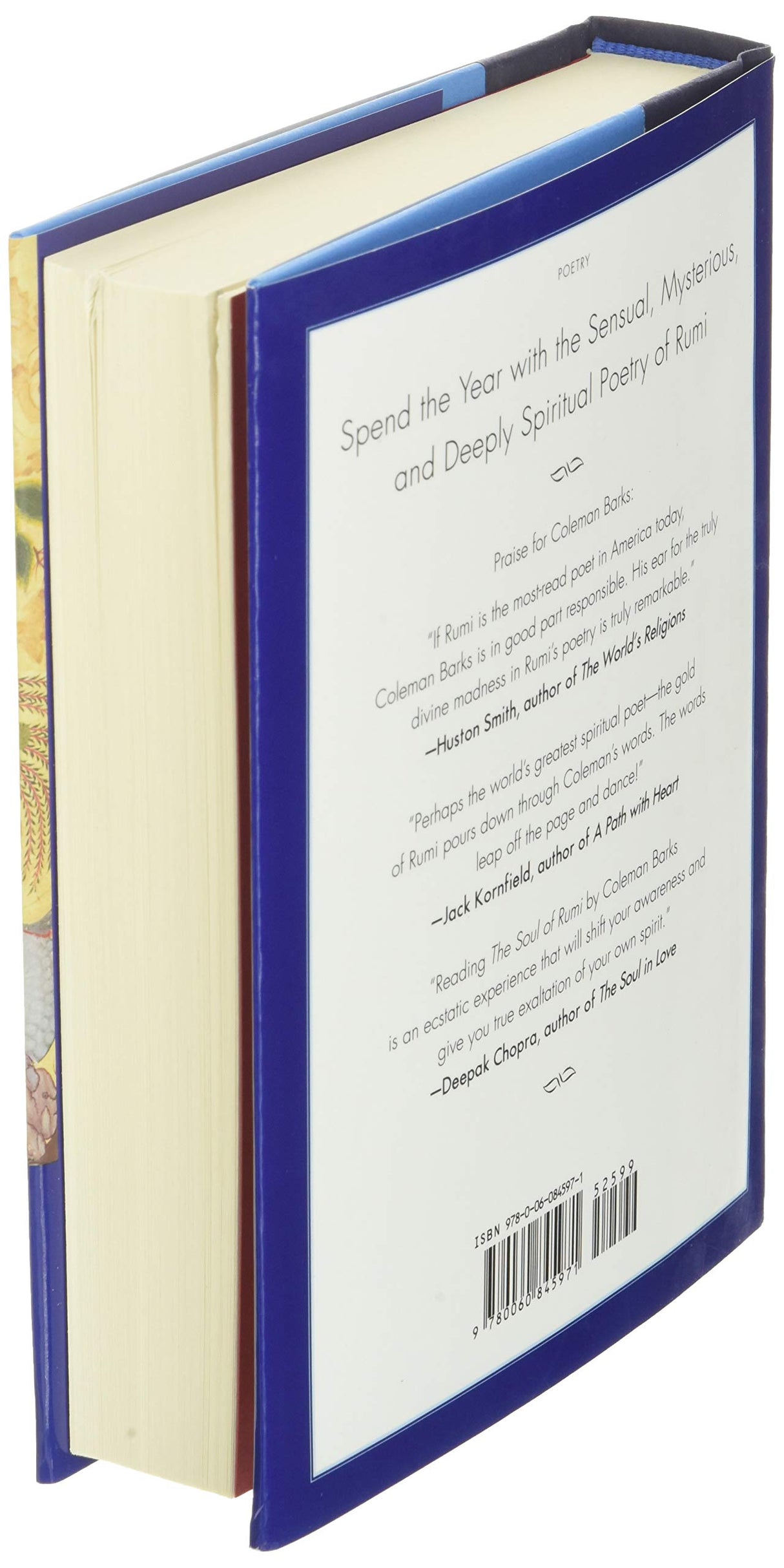 YEAR WITH RUMI - Retail Maharaj