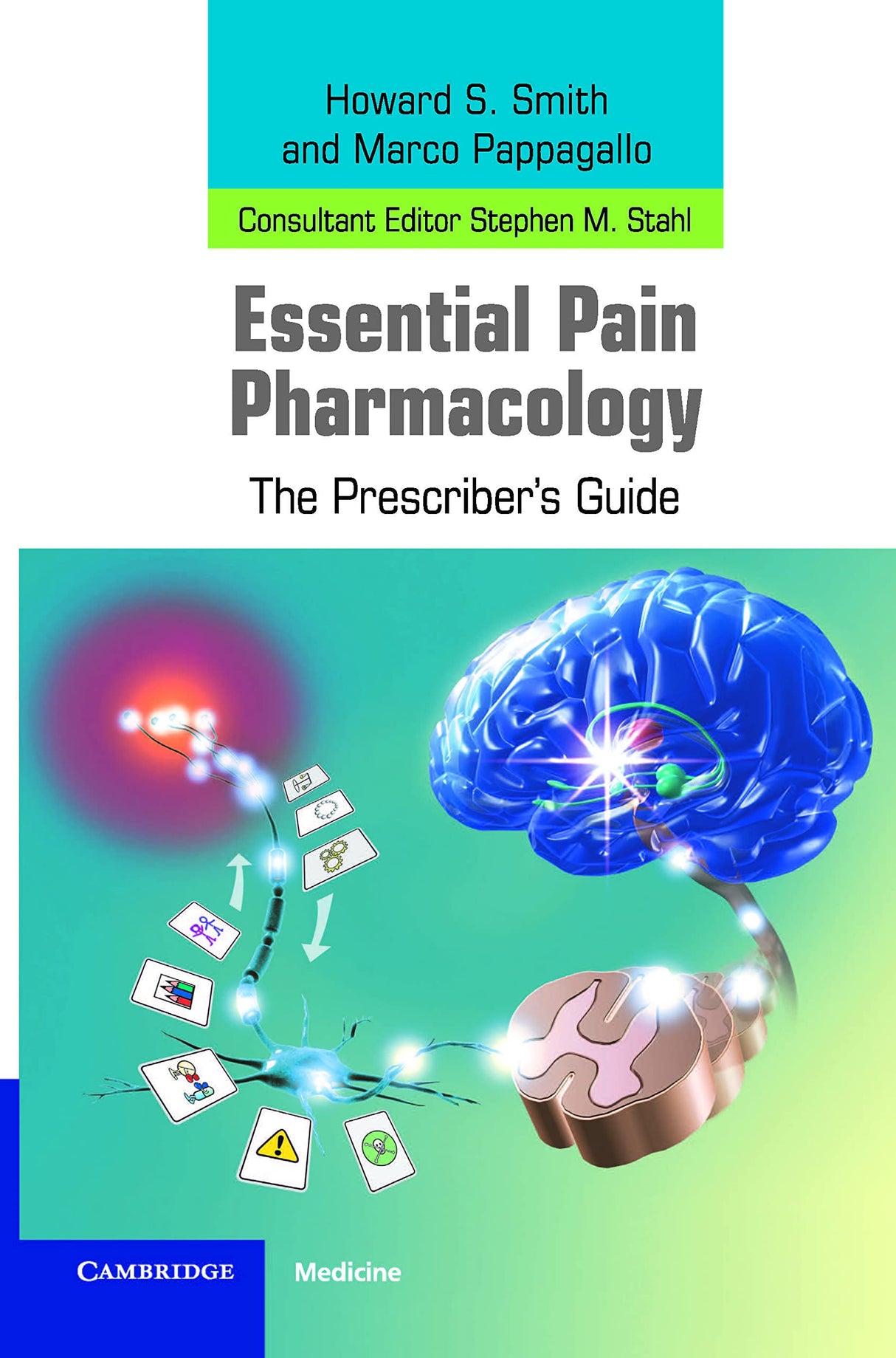 Essential Pain Pharmacology: The Prescriber's Guide
