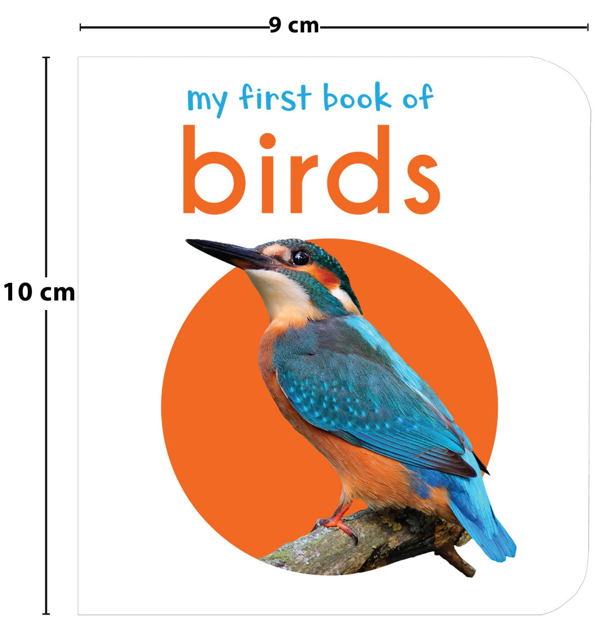 My First Book of Birds | First Birds Board Book for Babies, Toddlers & Preschoolers | Learn About Common Birds with Bright and Realistic Pictures | Early Learning Book for Kids Ages 0-3 Years - Retail Maharaj