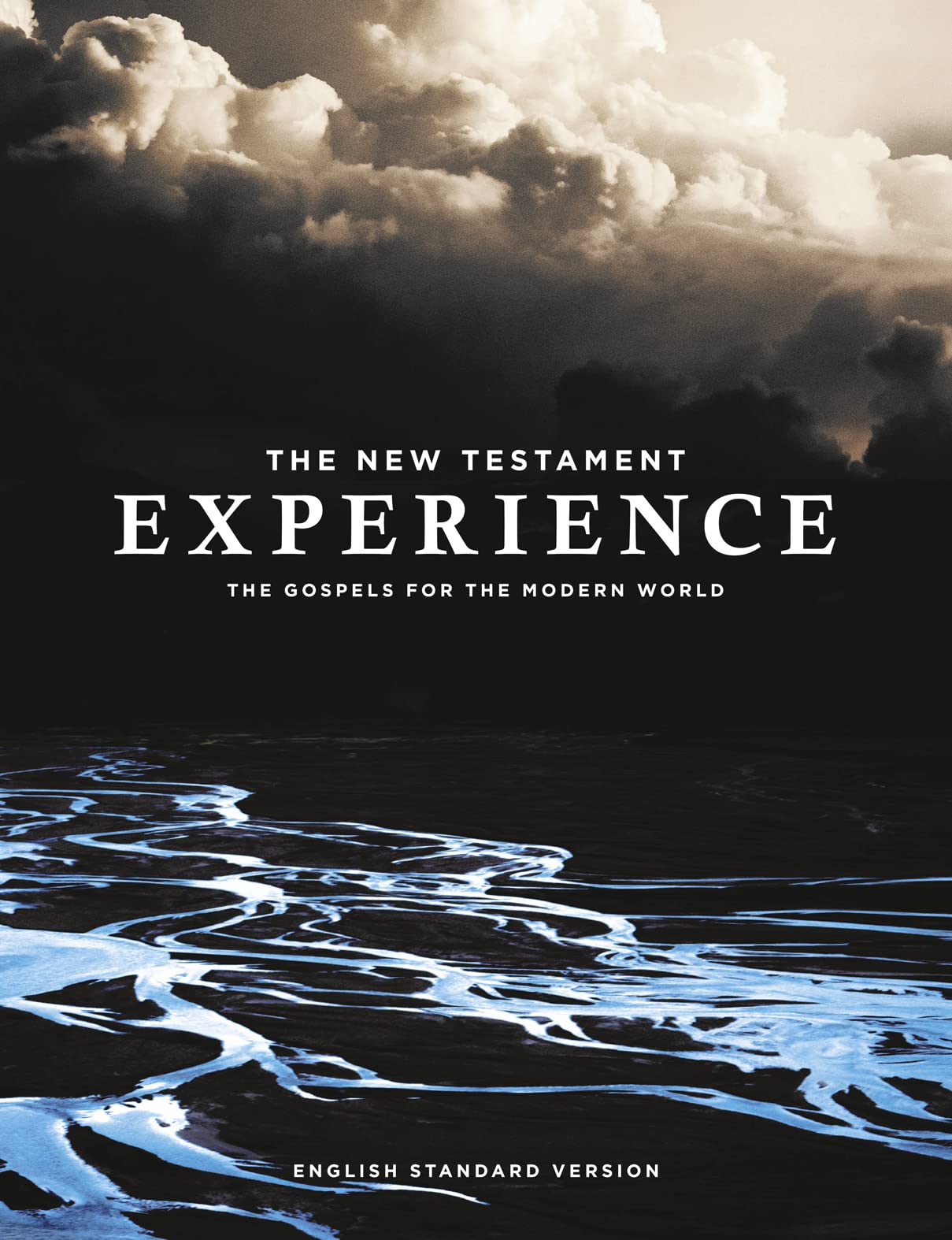 The New Testament Experience: The Gospels for the Modern World - Retail Maharaj