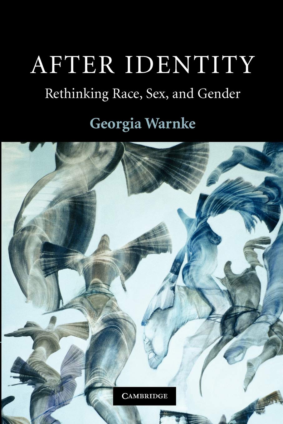 After Identity: Rethinking Race, Sex, and Gender (Contemporary Political Theory)