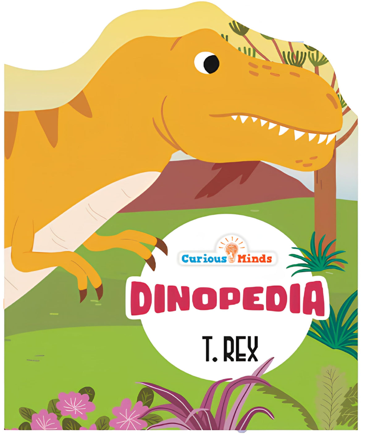 Set of 4 Children Dinosaur Encyclopedia Die Cut Books for 5+ | Dinopedia- T REX, DIPLODOCUS,TRICERATOPS,VELOCIRAPTOR - Retail Maharaj