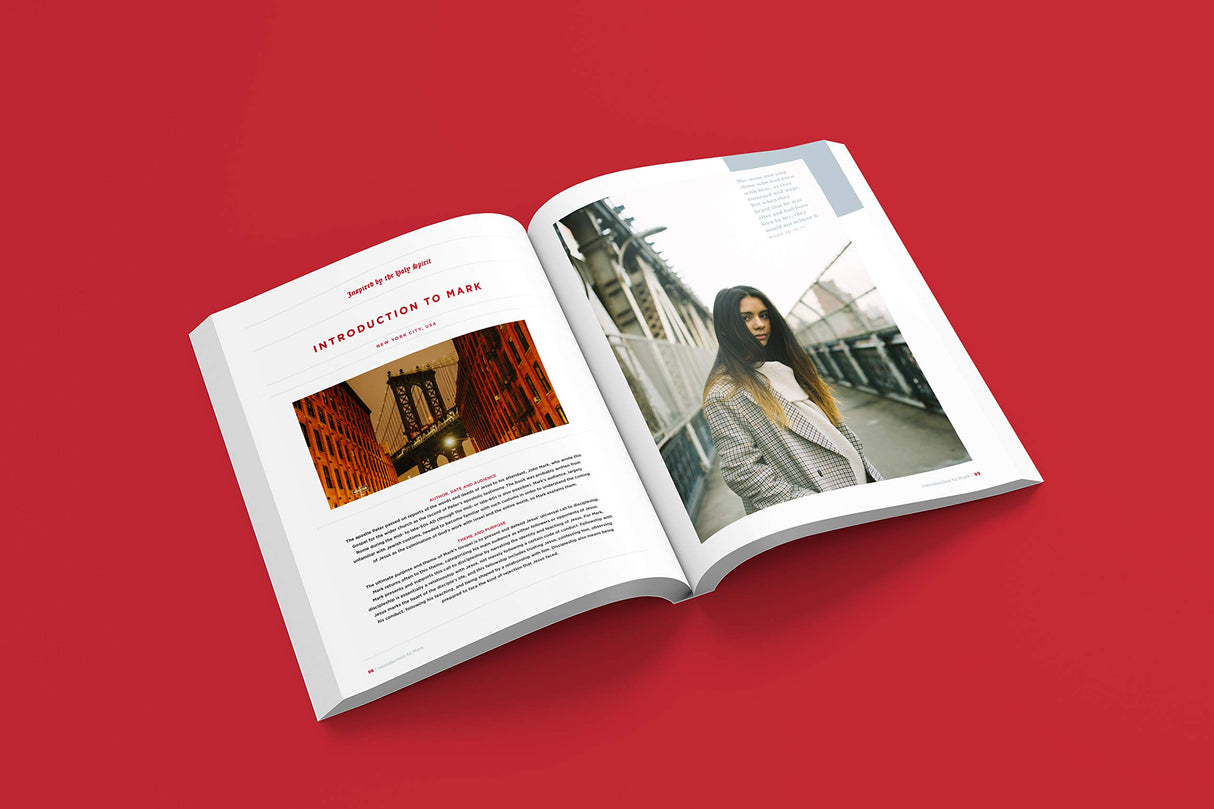 The New Testament Experience: The Gospels for the Modern World - Retail Maharaj