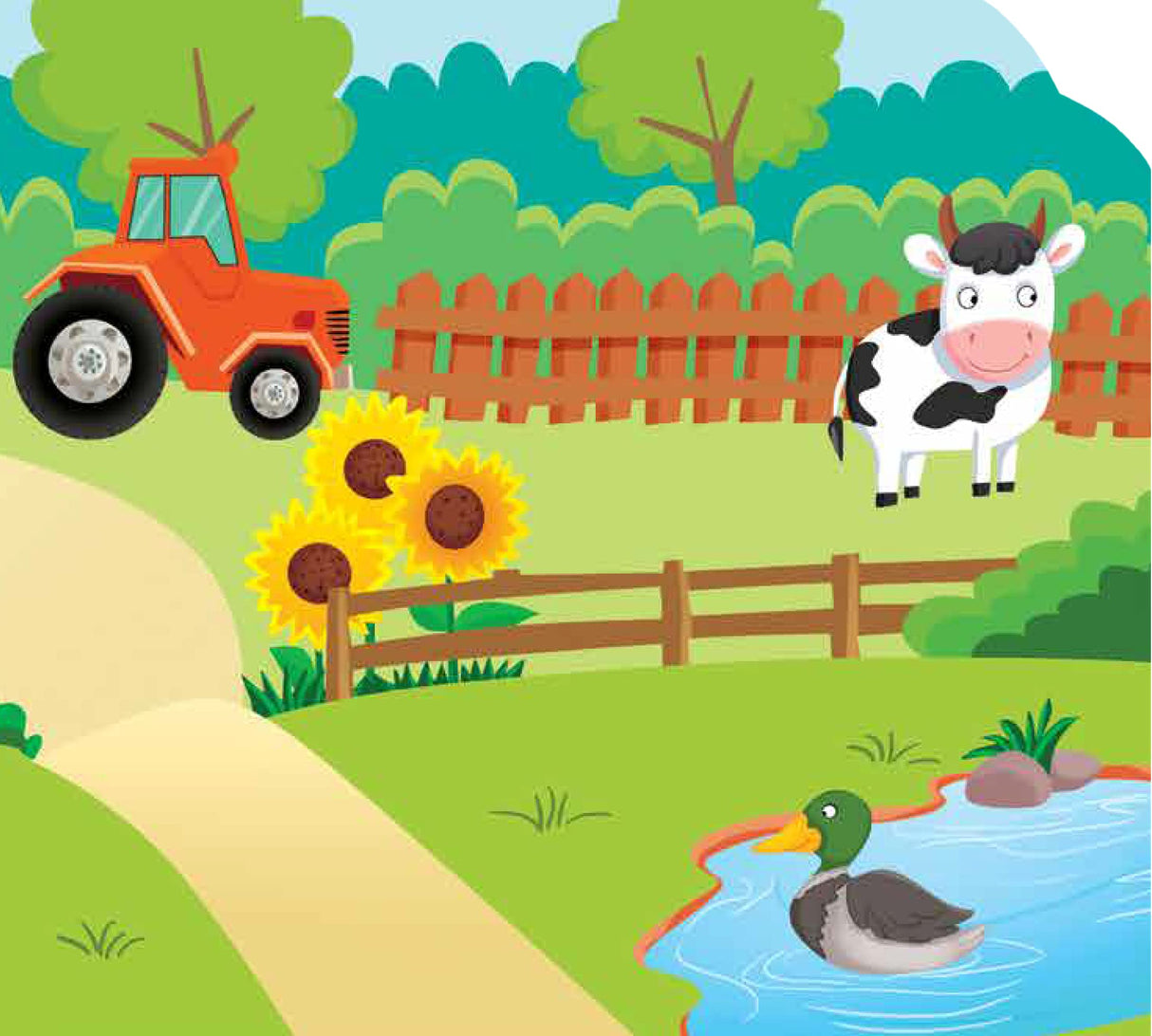 Animal World - Look and Find - Retail Maharaj