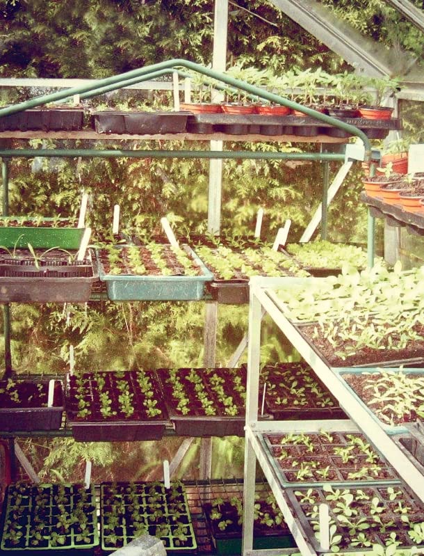 The Allotment Almanac: a month-by-month guide to getting the best from your allotment from much-loved Radio 2 gardener Terry Walton