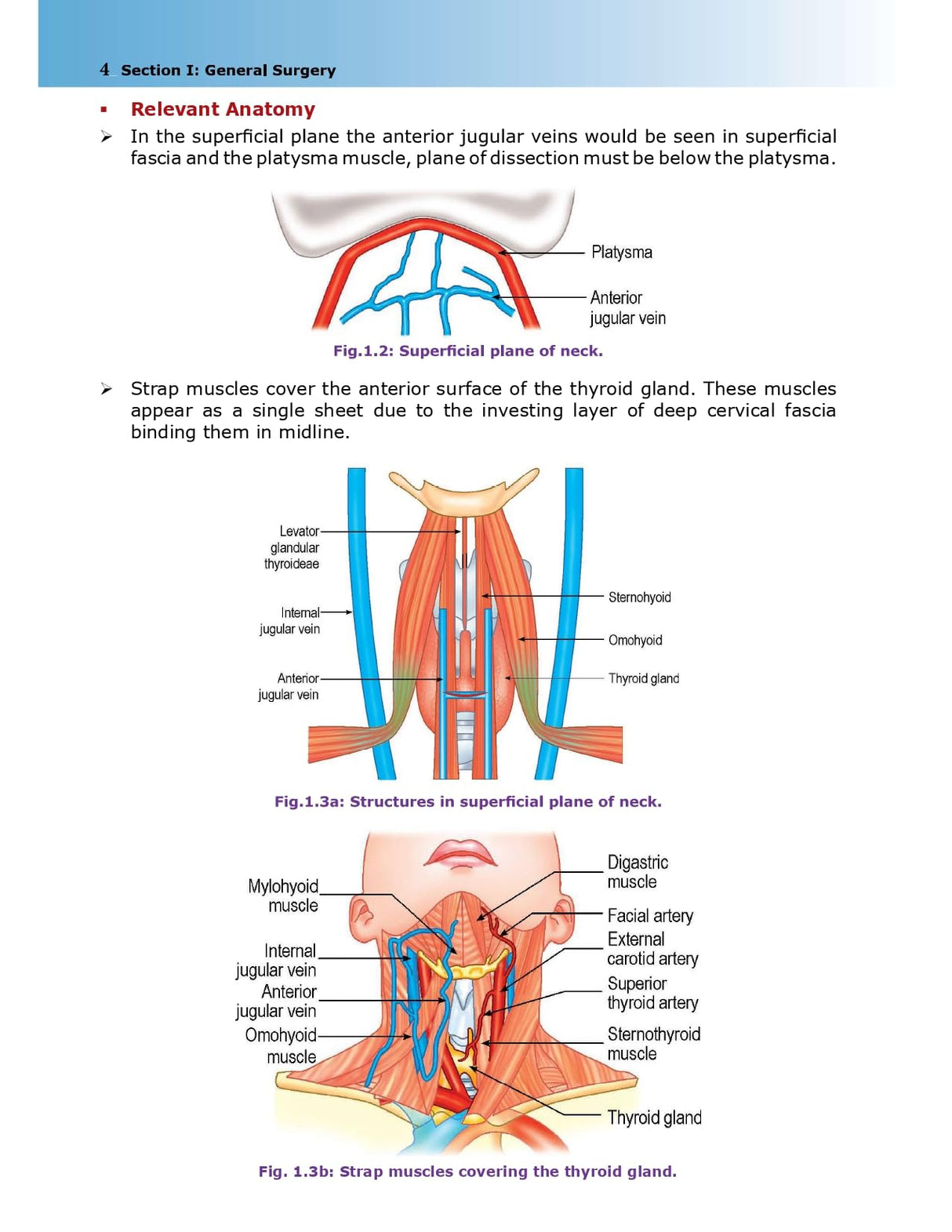 Essential Surgical Anatomy 1st/2026
