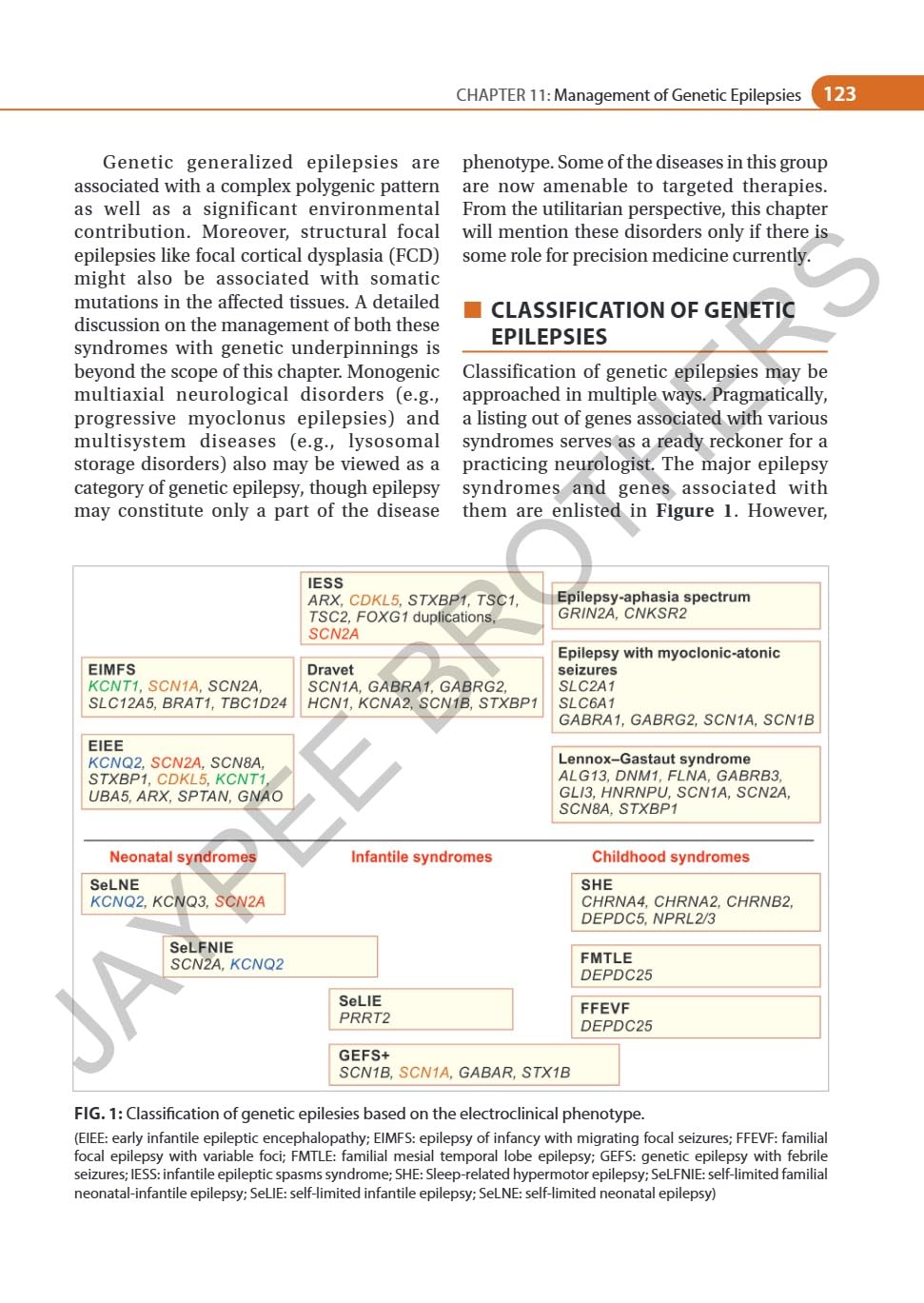 IAN ADVANCES IN EPILEPSY