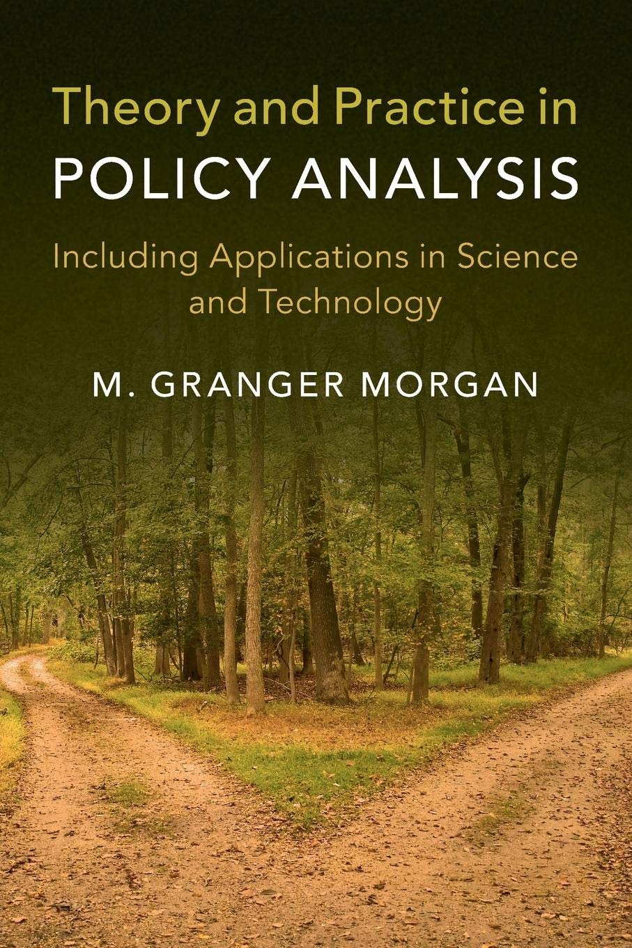 Theory and Practice in Policy Analysis: Including Applications in Science and Technology - Retail Maharaj