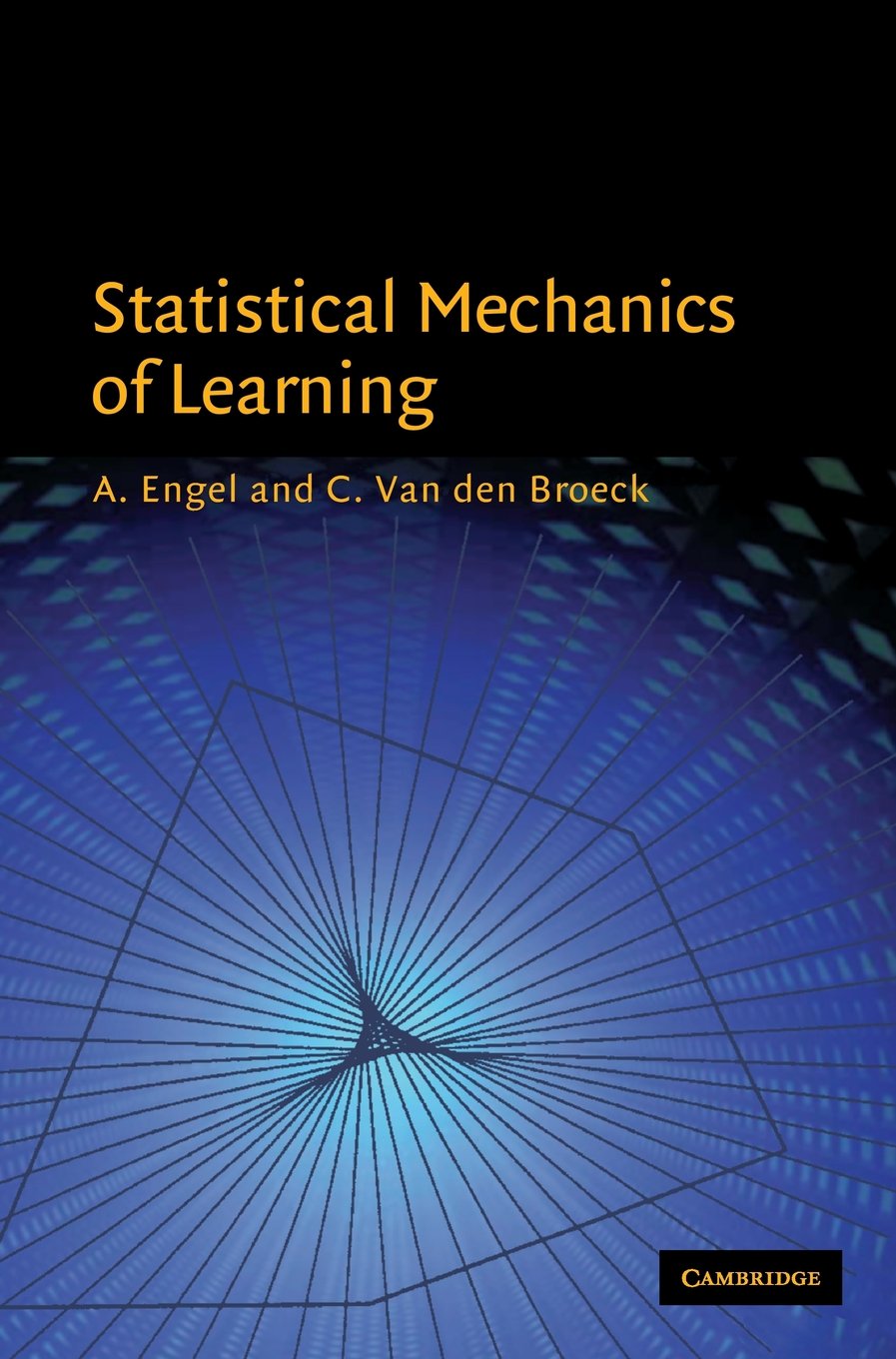 Statistical Mechanics of Learning