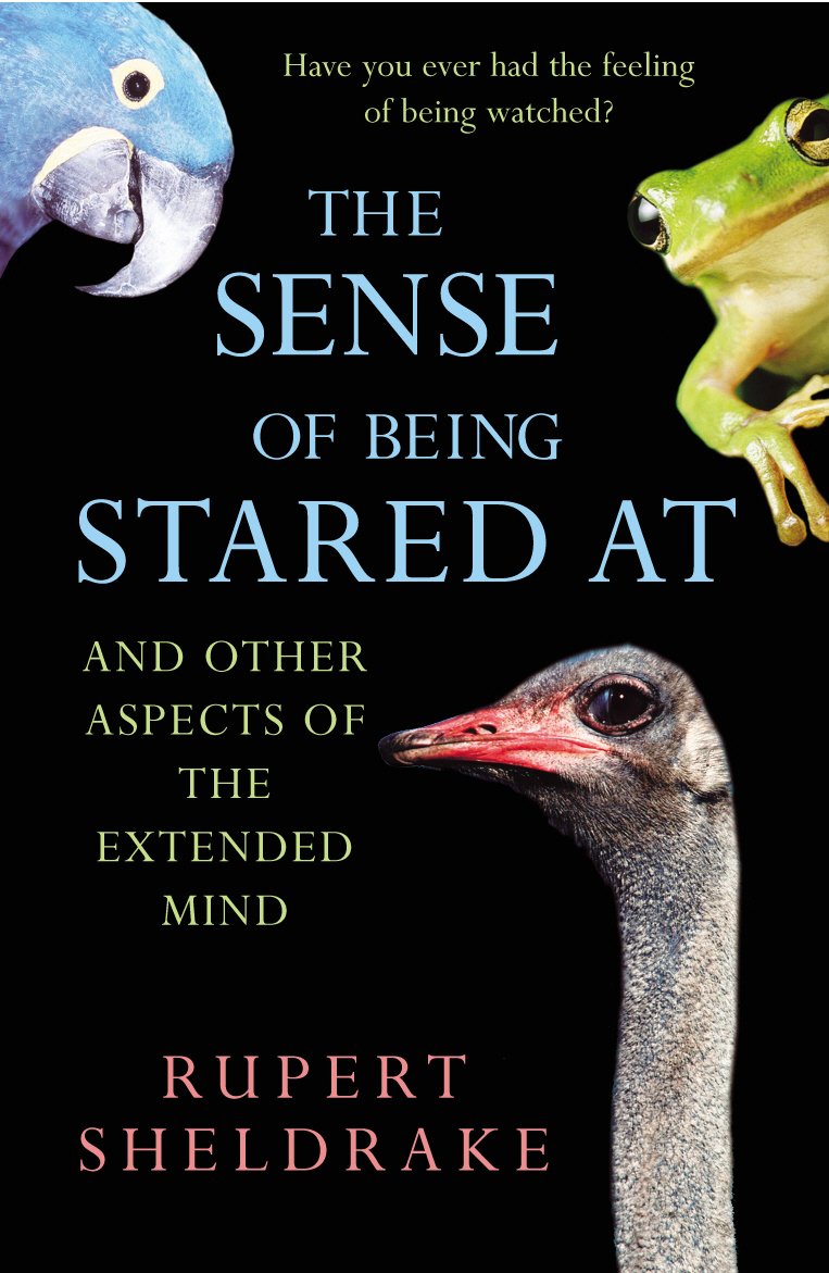 The Sense Of Being Stared At - Retail Maharaj