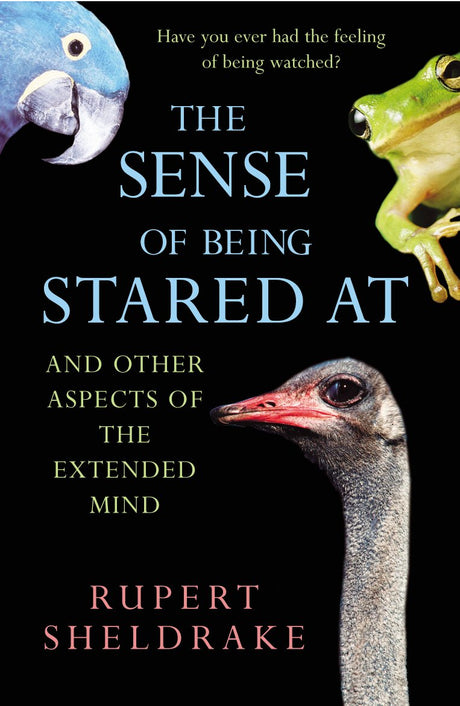 The Sense Of Being Stared At - Retail Maharaj