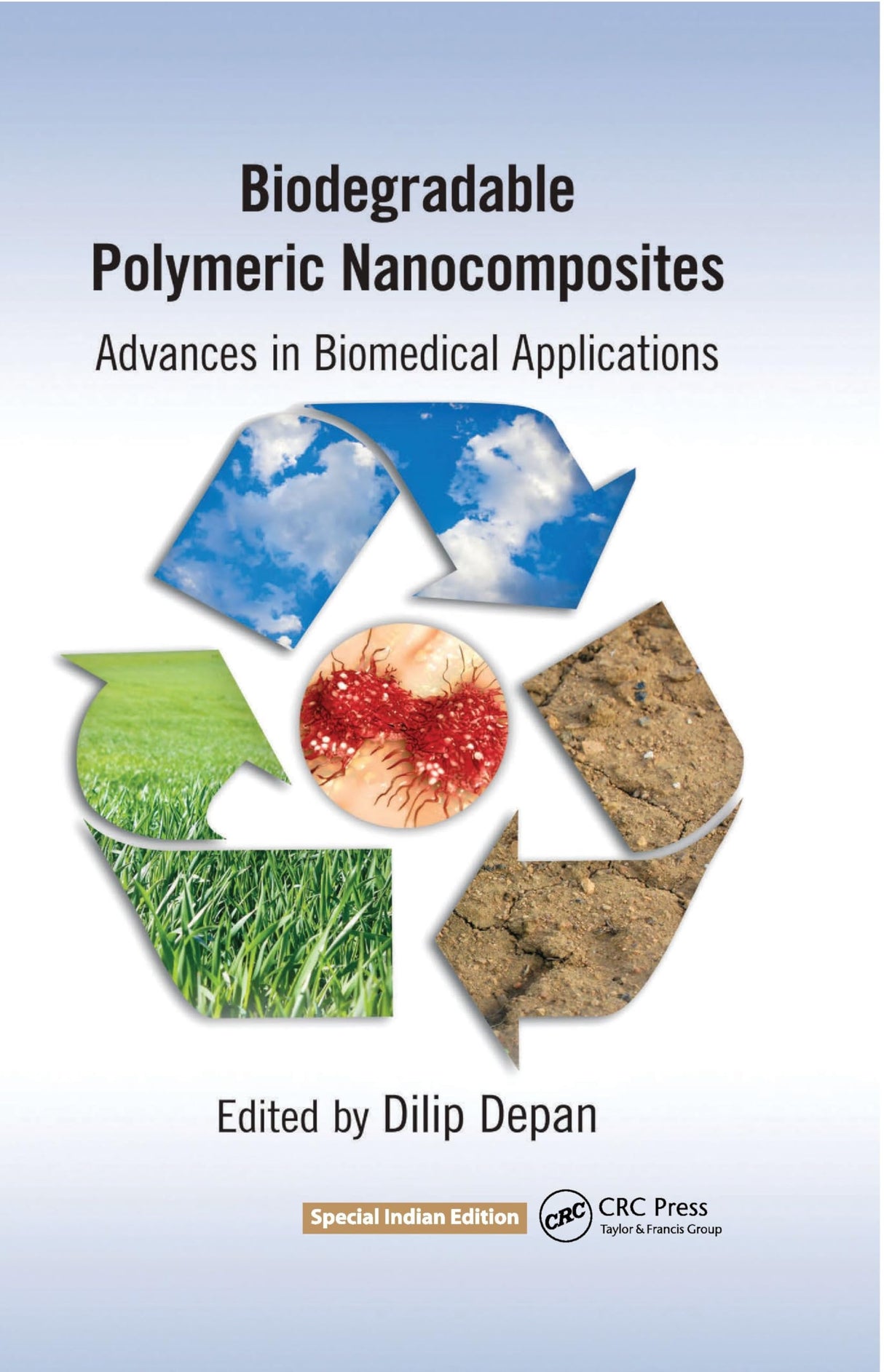Biodegradable Polymeric Nanocomposites - Retail Maharaj