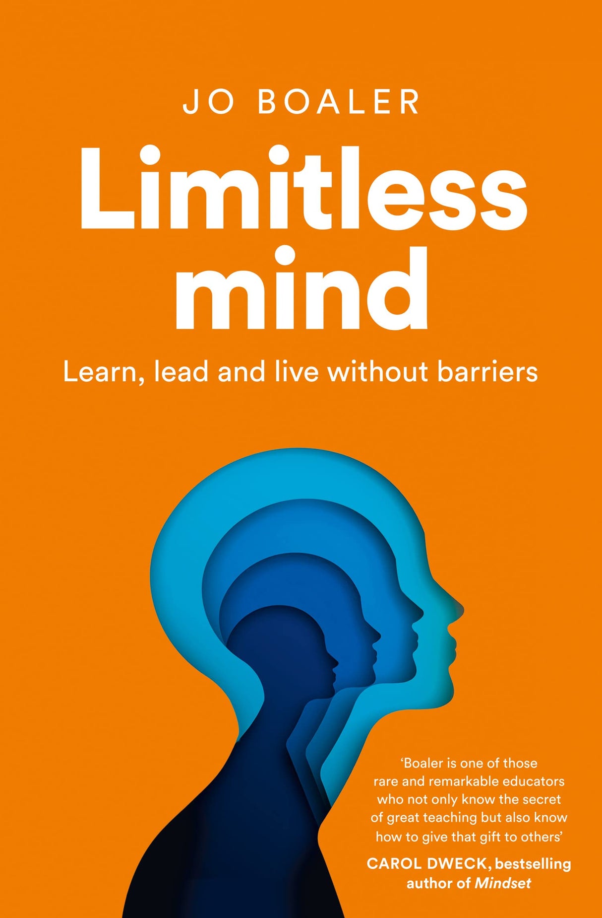 Limitless Mind - Retail Maharaj