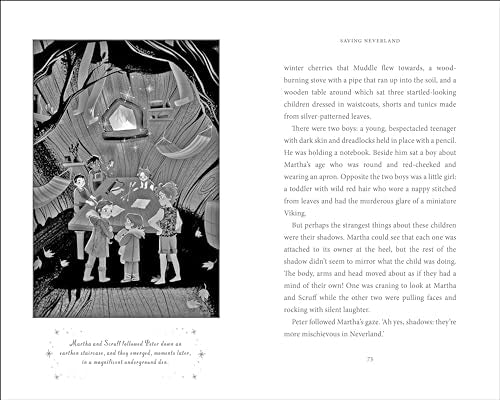 Saving Neverland - Retail Maharaj