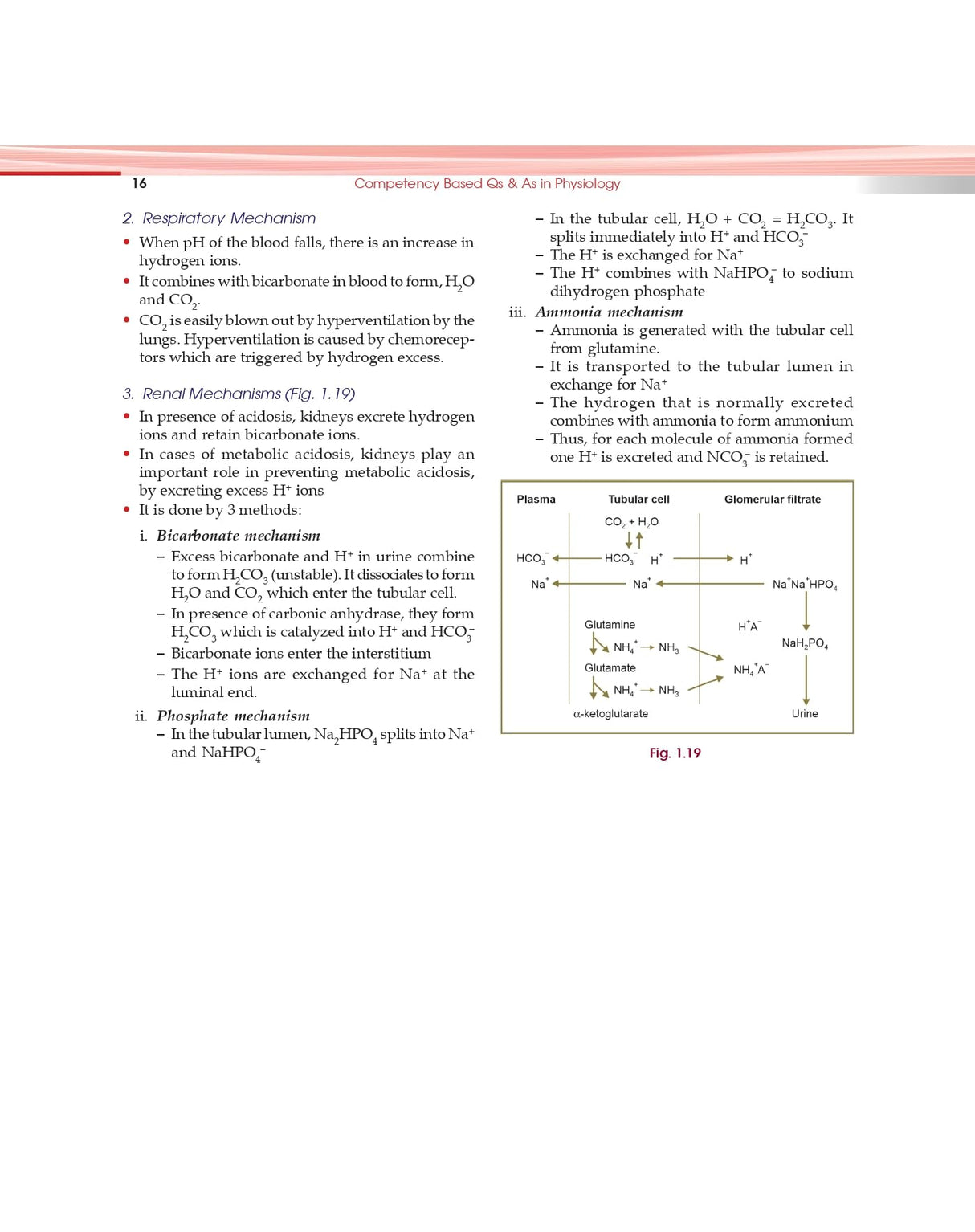 Competency Based Questions And Answers In Physiology For First Mbbs Professional Examination (Pb 2024)