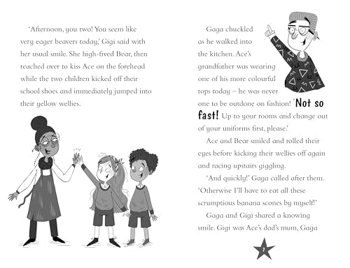 Ace and the Animal Heroes: The Wacky Weather Mystery - Retail Maharaj