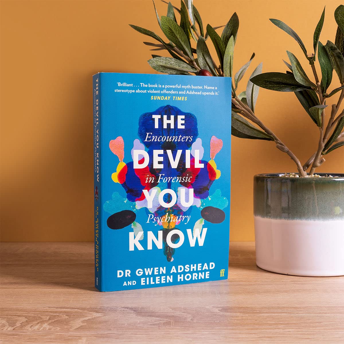The Devil You Know: Encounters in Forensic Psychiatry