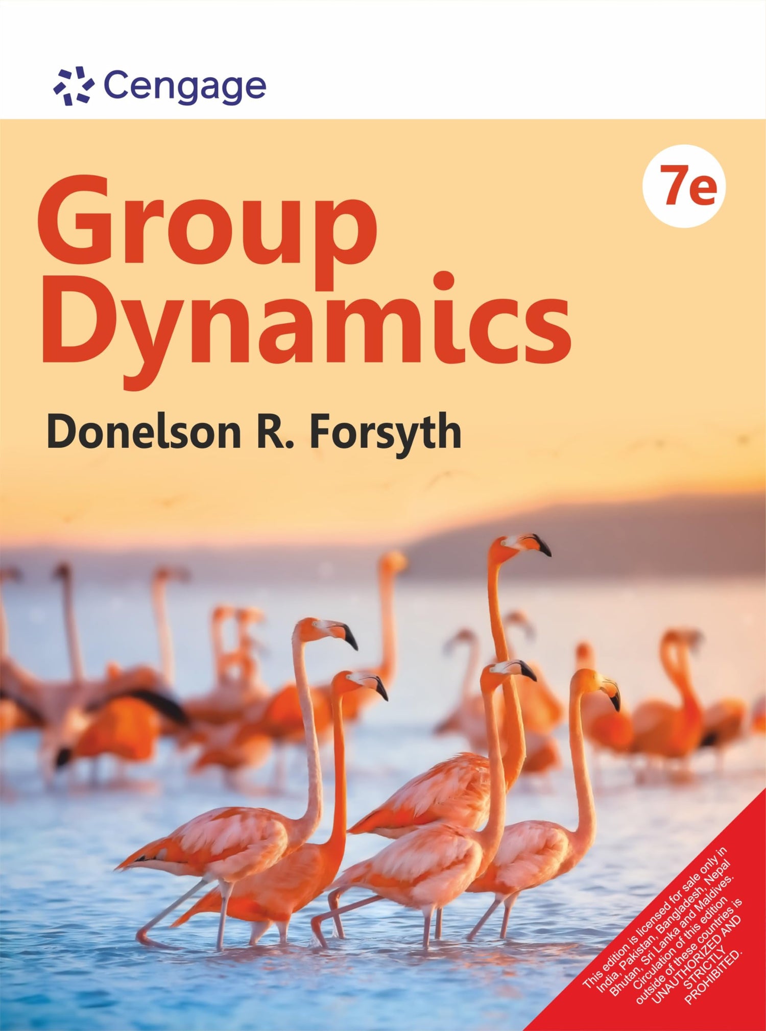 Group Dynamics, 7th Edition - Retail Maharaj