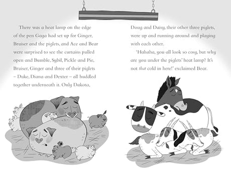 Ace and the Animal Heroes: The Wacky Weather Mystery - Retail Maharaj