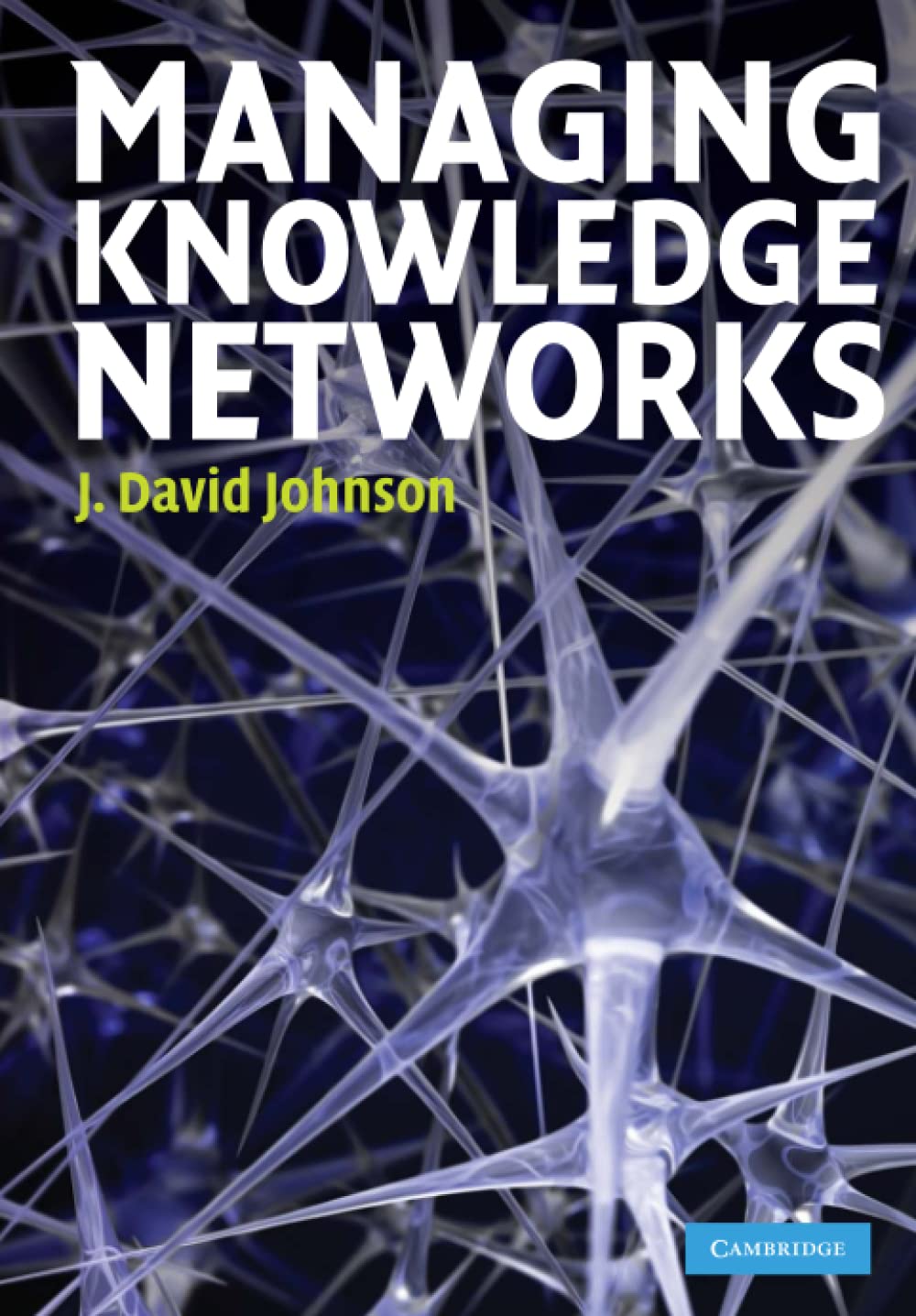 Managing Knowledge Networks