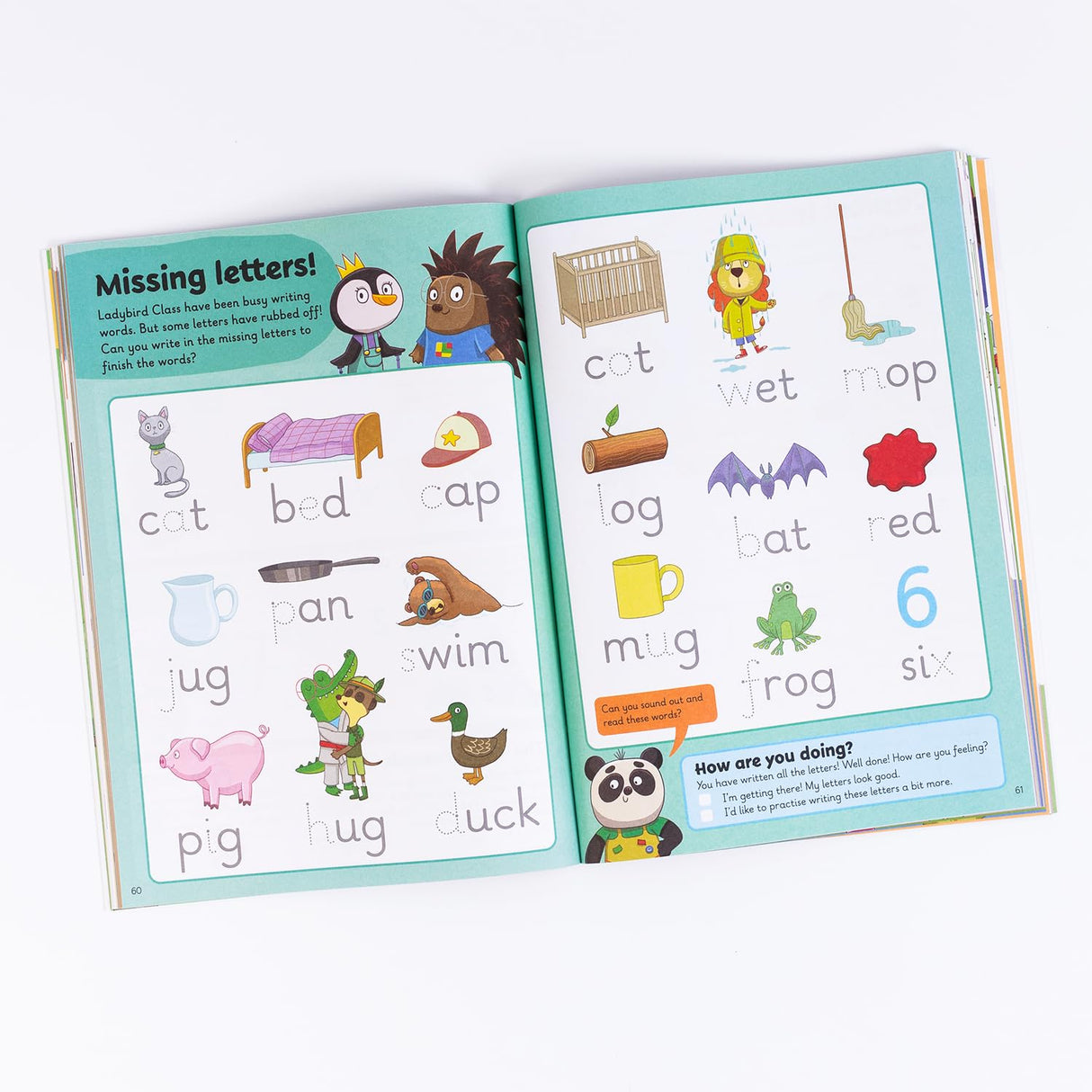 First Reading and Writing: A Learn With Ladybird 4 in 1 Activity Book - Pen Control, Letters, First Words and First Phonics - Practice Skills for School (3-5 Years) - Retail Maharaj