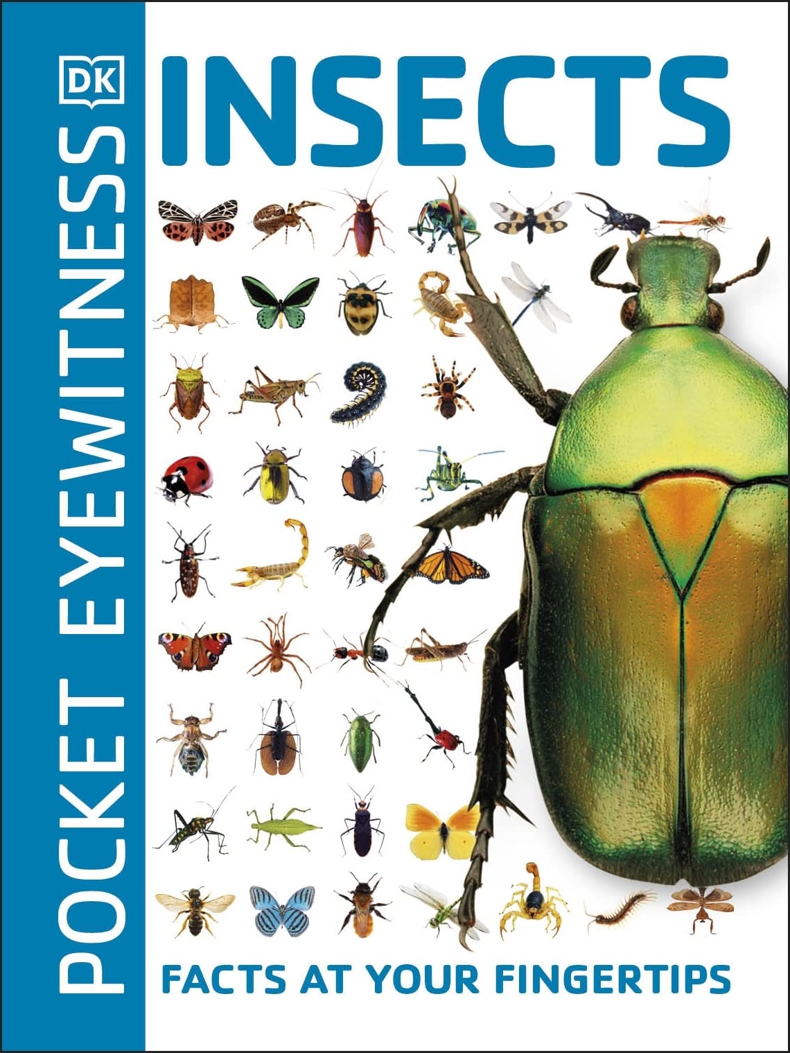 Pocket Eyewitness Insects - Retail Maharaj