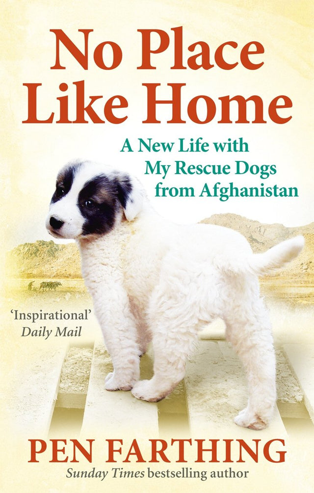 No Place Like Home: A New Beginning with the Dogs of Afghanistan - Retail Maharaj