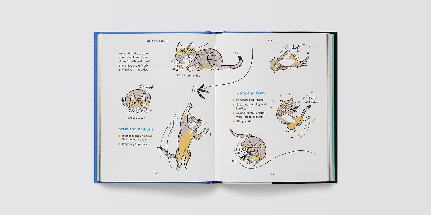 Kitty Language: An Illustrated Guide to Understanding Your Cat - Retail Maharaj