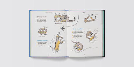 Kitty Language: An Illustrated Guide to Understanding Your Cat - Retail Maharaj