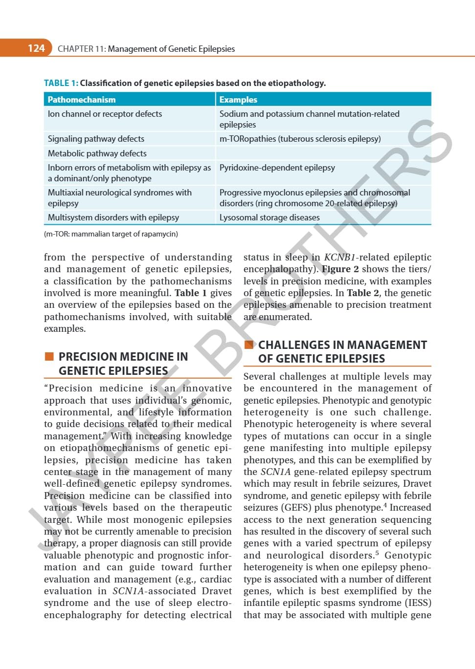 IAN ADVANCES IN EPILEPSY