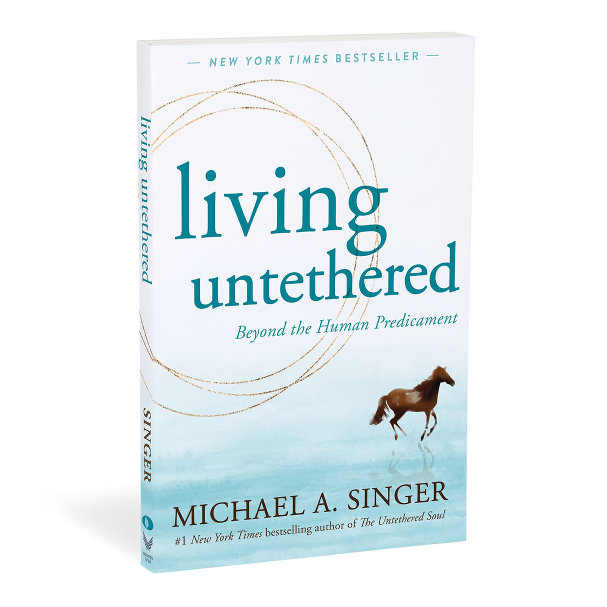 Living Untethered: Beyond the Human Predicament - Retail Maharaj