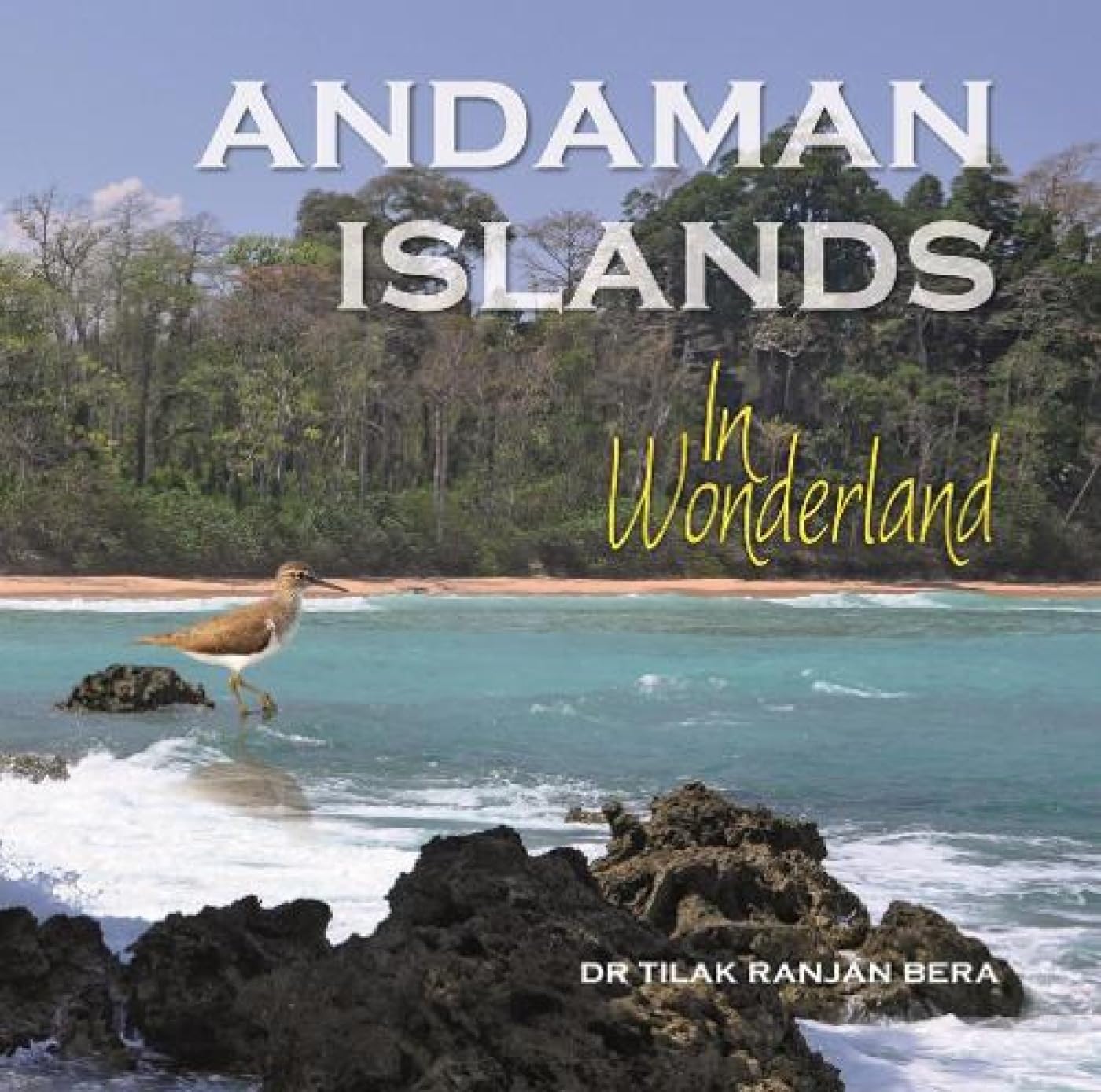 Andaman Islands: In Wonderland - Retail Maharaj