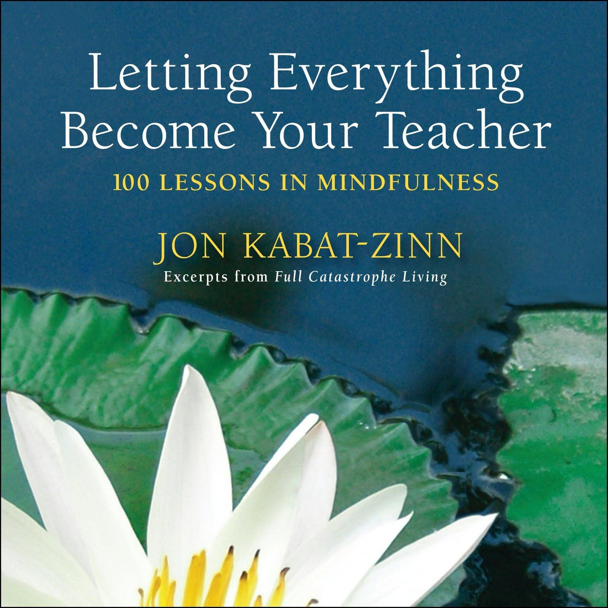 Letting Everything Become Your Teacher: 100 Lessons in Mindfulness - Retail Maharaj