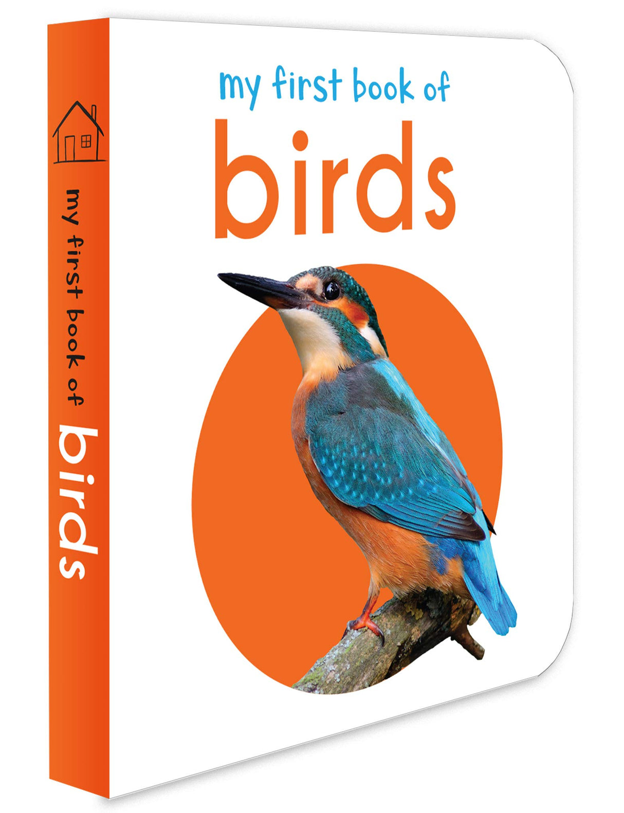 My First Book of Birds | First Birds Board Book for Babies, Toddlers & Preschoolers | Learn About Common Birds with Bright and Realistic Pictures | Early Learning Book for Kids Ages 0-3 Years - Retail Maharaj