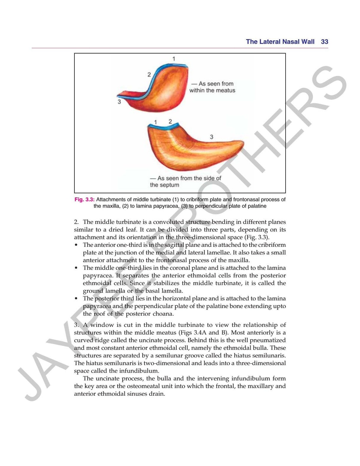 ANATOMICAL PRINCIPLES OF ENDOSCOPIC SINUS SURGERY: A STEP BY STEP APPROACH WITH INTERACTIVE CD-ROM