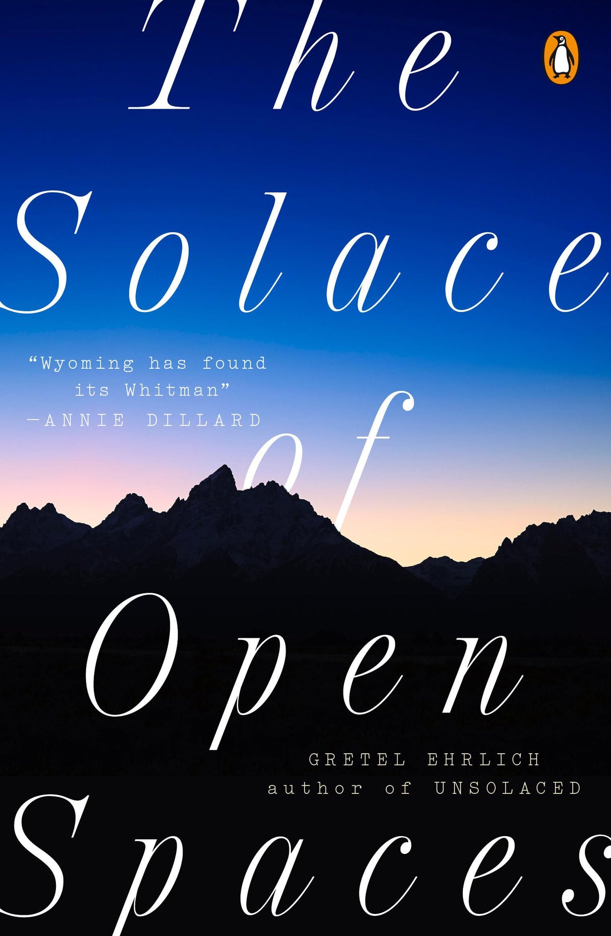 The Solace of Open Spaces - Retail Maharaj
