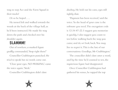 Ace and the Animal Heroes: The Wacky Weather Mystery - Retail Maharaj