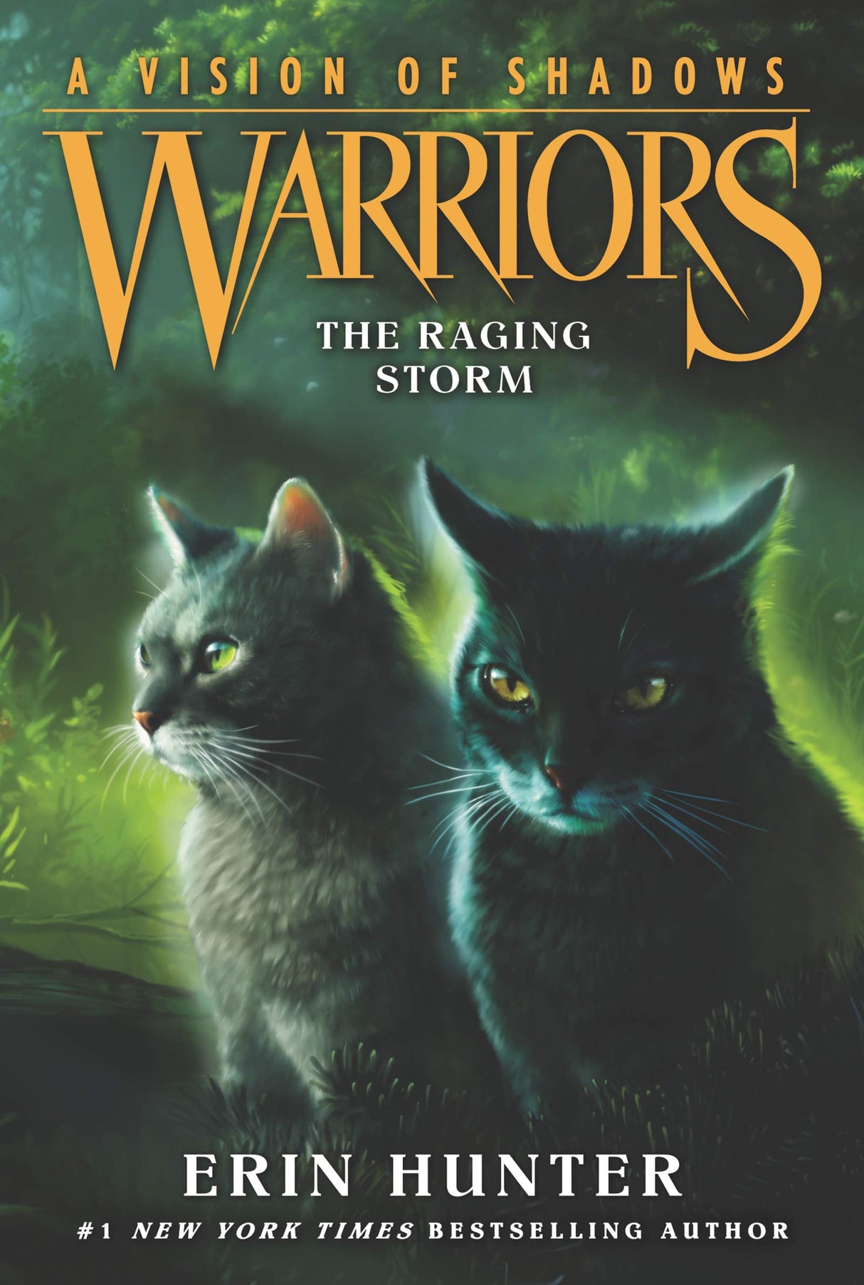 Warriors: A Vision Of Shadows #6: The Raging Storm - Retail Maharaj