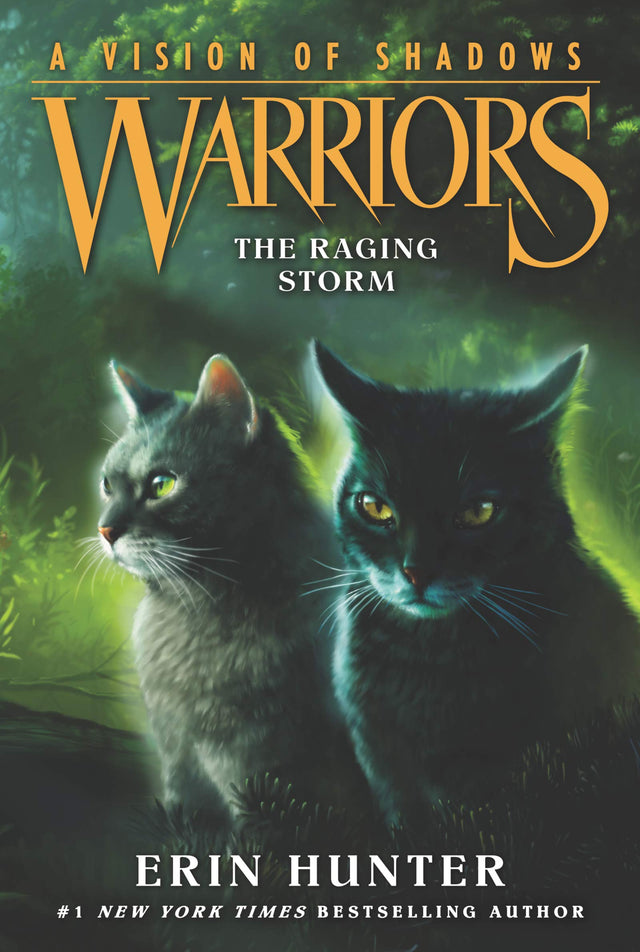 Warriors: A Vision Of Shadows #6: The Raging Storm - Retail Maharaj